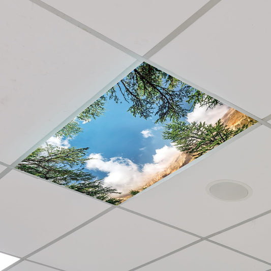 Outus Fluorescent Light Cover with 10 Magnets, 2 x 4 ft, Red, Model TJRW-Outus-5515, Reduces Glare for Classroom and Office